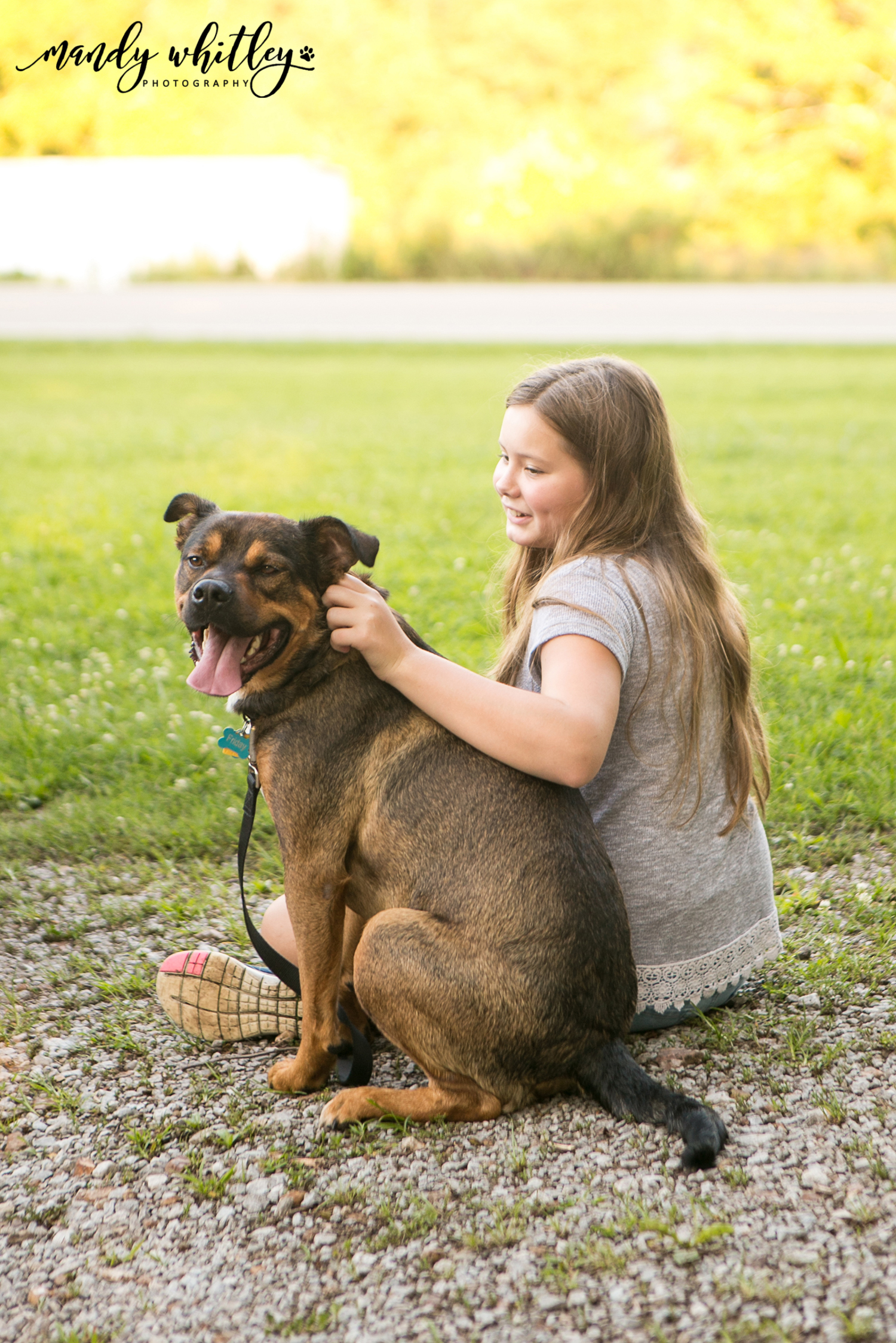 Adopt Friday Southern States Rescued Rottweilers Nashville